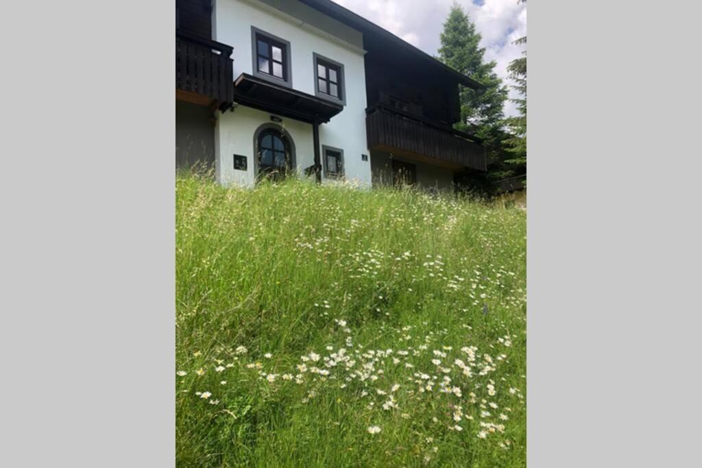 Appartement Mit Huettenflair Sankt Oswald  Bagian luar foto